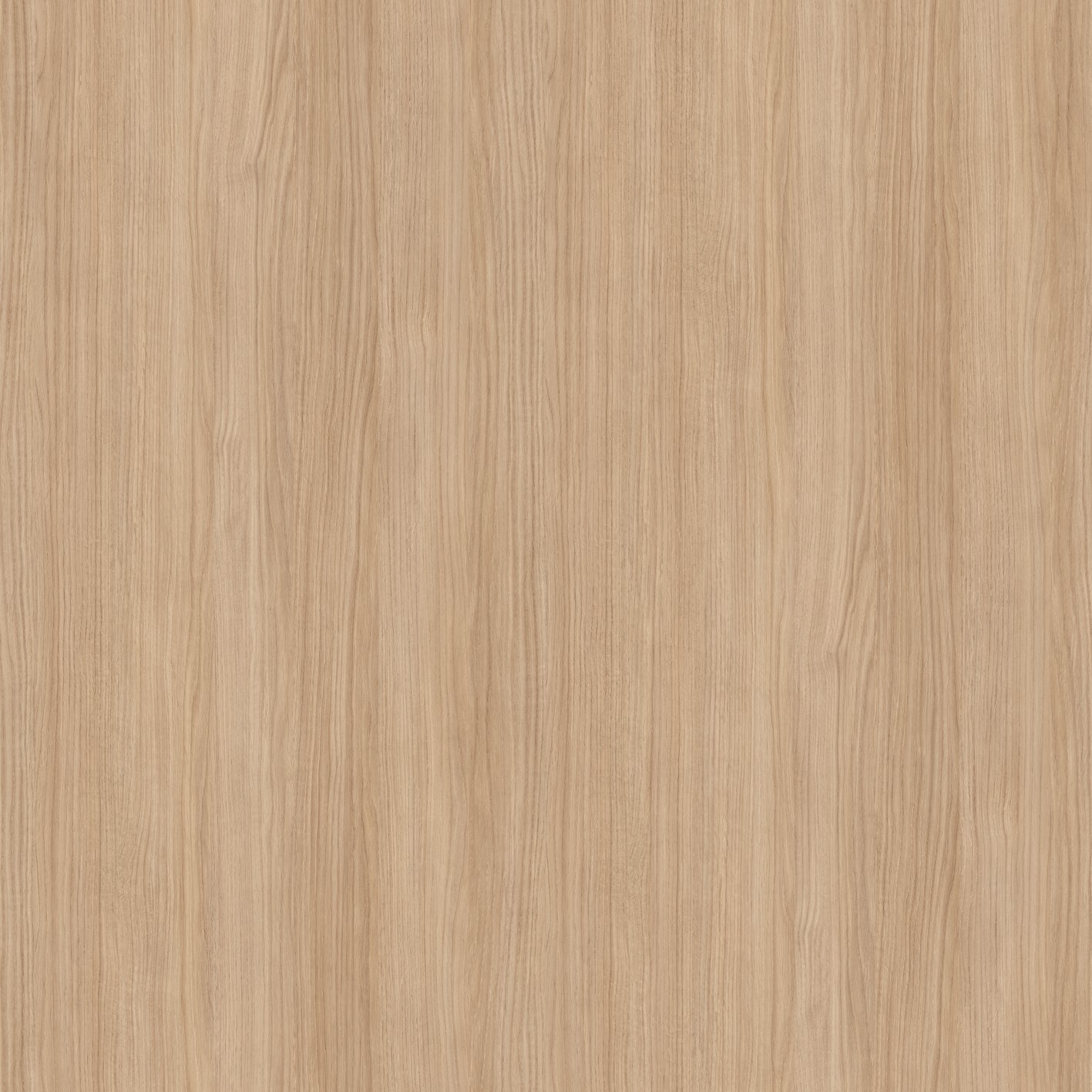 Tropea Eiche Aufrecht Nachbildung